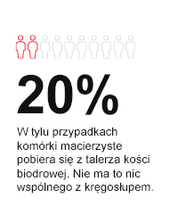 20% - W tylu przypadkach komórki macierzyste pobiera się z talerza kości biodrowej. Nie ma to nic wspólnego z kręgosłupem.
